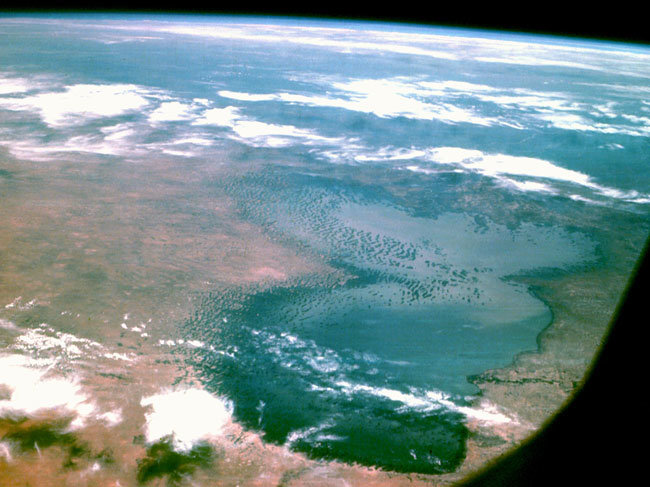 Spirulina - Čadské jezero