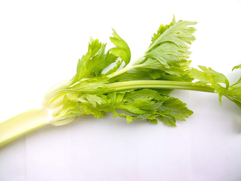 Detoxikační potraviny: celer