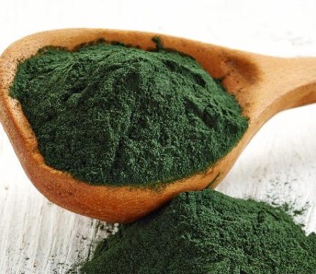 Spirulina blog