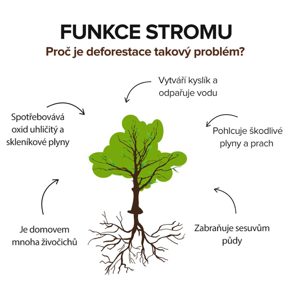 funkce stromů, deforestace