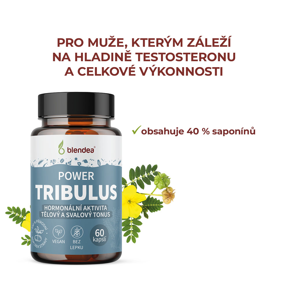 tribulus terrestris, zvýšení testosteronu
