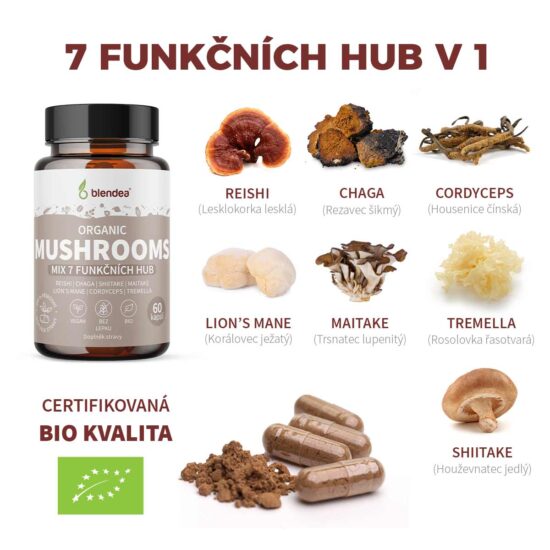 7 fuknčních hub v doplňku stravy Mushrooms
